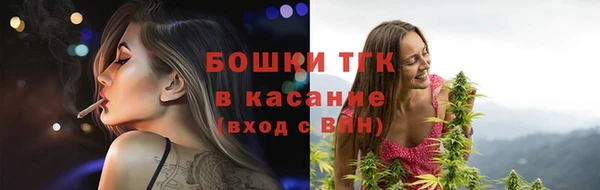 спиды Вяземский