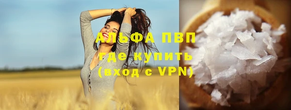 спиды Вяземский
