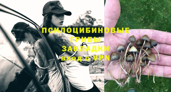 дживик Вязники