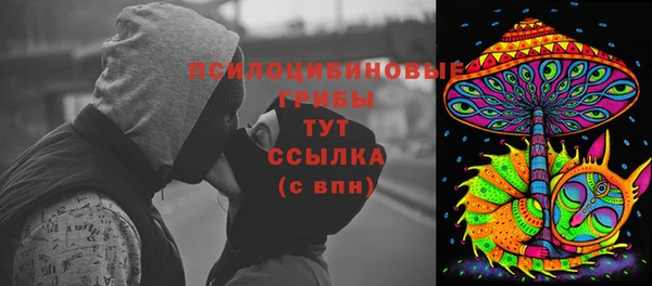 дживик Вязники