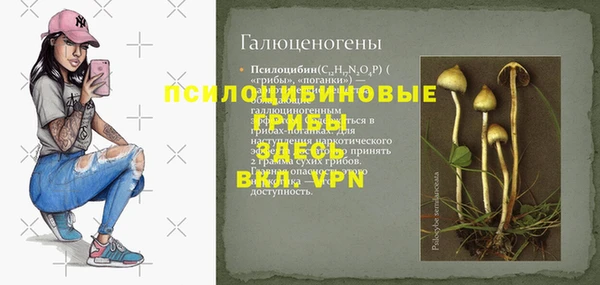 дживик Вязники