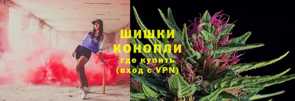 спиды Вяземский