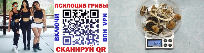 Галлюциногенные грибы GOLDEN TEACHER  Калачинск 